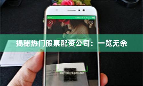 揭秘热门股票配资公司：一览无余