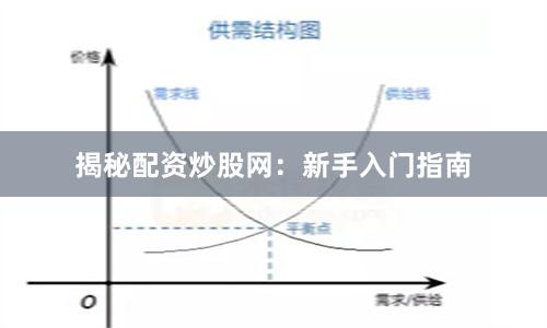 揭秘配资炒股网：新手入门指南